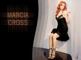 Marcia Cross Celebrity